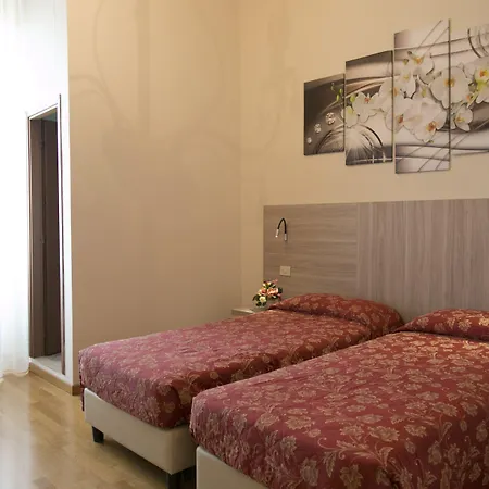 Lilium 3* Florencia
