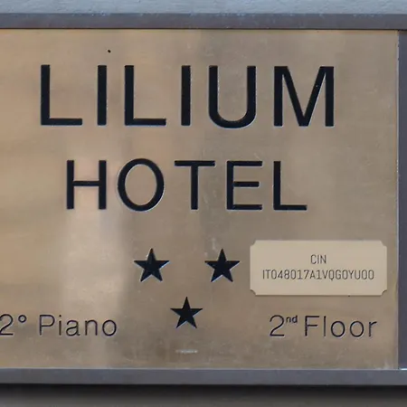 Lilium 3* فلورنس