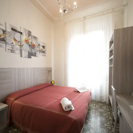 Lilium 3*